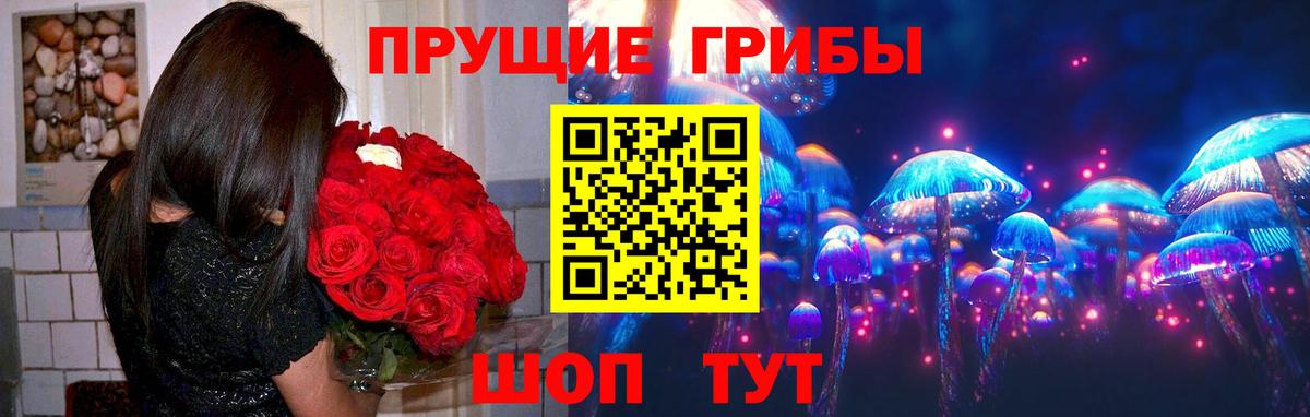 Котовск  Псилоцибиновые грибы прущие грибы  Вход с VPN 